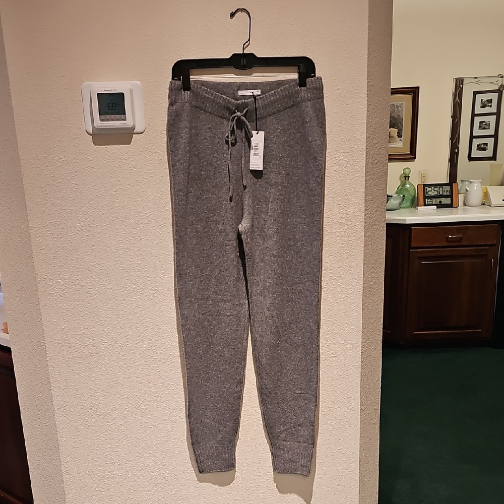 NWT Unsubscribed Cashmere Gray Joggers Drawstring, Back Pocket XS. 30×30Rise12